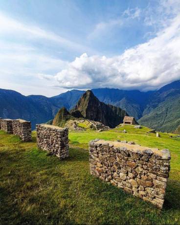 Protección de Datos Personales