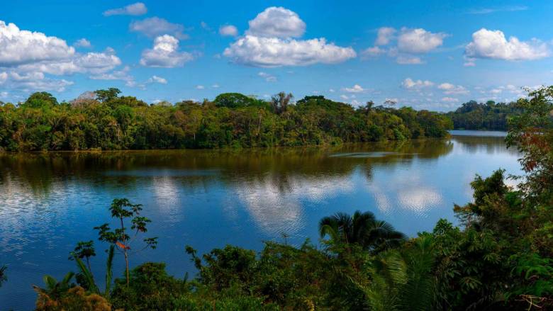 Tour en la Reserva Nacional de Tambopata
